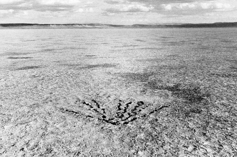Alvord Site