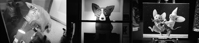 Horrid Animals