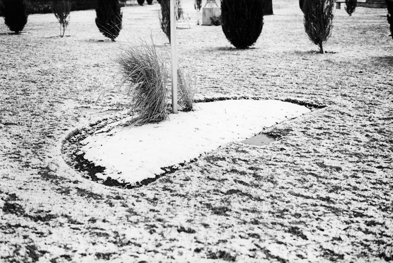 Tongan Peace Garden