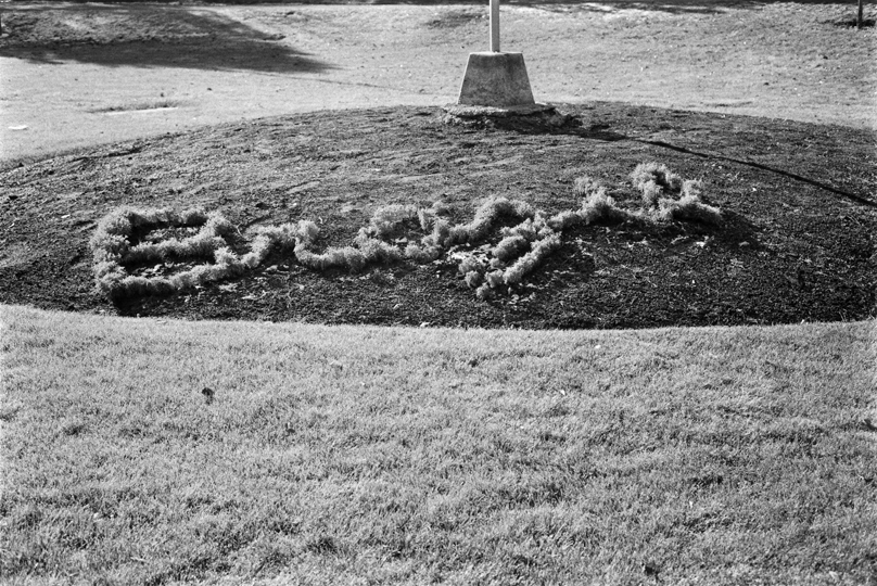 Brazilian Peace Garden