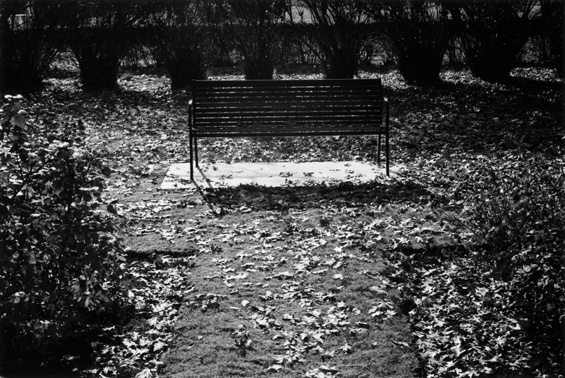 Bench, English Peace Garden