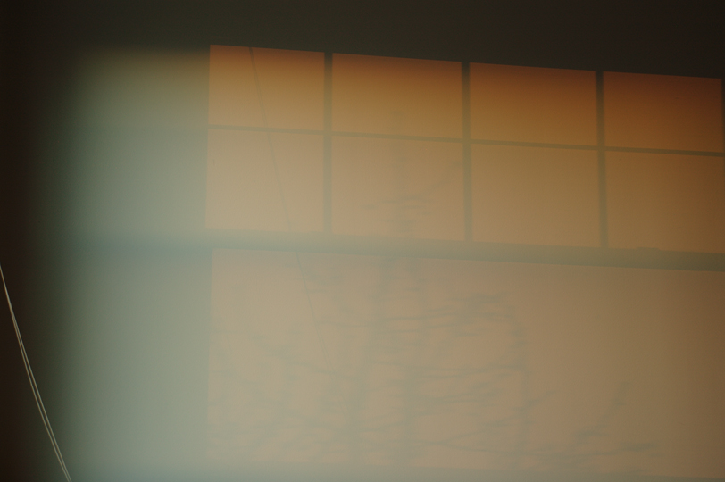 Winter Light at Sunset, North Wall, Foster 415